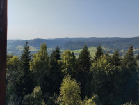 Powiększ zdjęcie