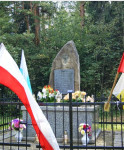 Powiększ zdjęcie