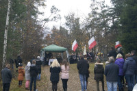 Powiększ zdjęcie