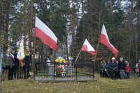 Powiększ zdjęcie