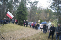Powiększ zdjęcie