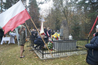 Powiększ zdjęcie