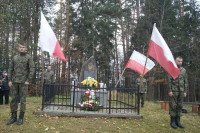 Powiększ zdjęcie