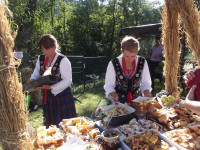 Powiększ zdjęcie