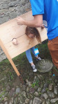 Powiększ zdjęcie