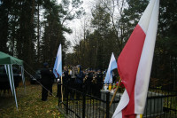 Powiększ zdjęcie
