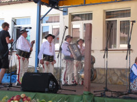 Powiększ zdjęcie