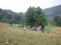 Powiększ zdjęcie