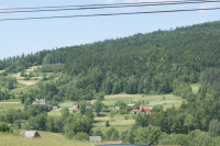 Powiększ zdjęcie