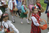 Powiększ zdjęcie