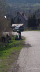 Powiększ zdjęcie