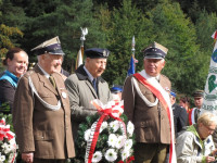 Powiększ zdjęcie