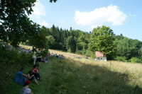 Powiększ zdjęcie