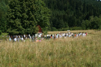 Powiększ zdjęcie