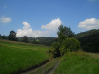 Powiększ zdjęcie